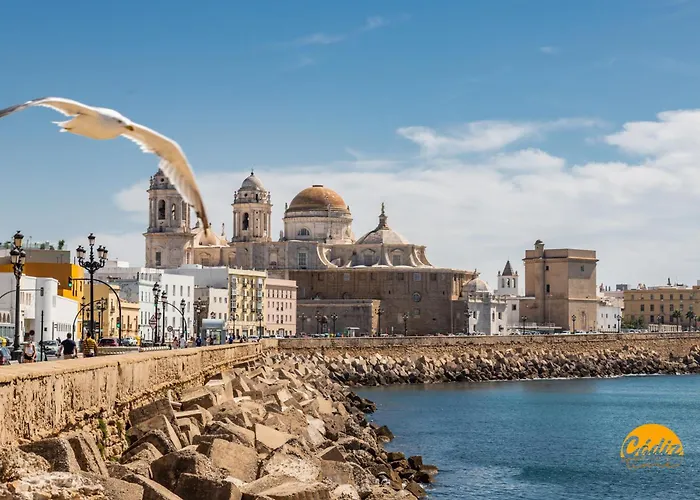 La Luz De Cadiz By Cadiz Time
